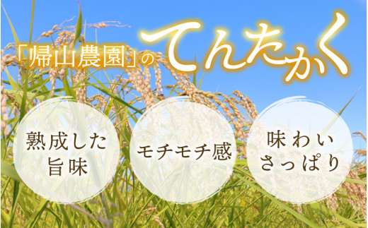 【6ヵ月定期便】【令和5年産】越前大野産 一等米 帰山農園の「てんたかく」2kg 合計12kg【白米】