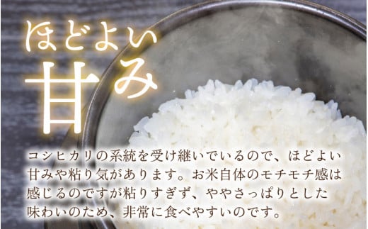 【6ヵ月定期便】【令和5年産】越前大野産 一等米 帰山農園の「てんたかく」2kg 合計12kg【白米】