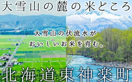 新米発送 【お米の定期便】ななつぼし 2kg×2袋 《普通精米》全6回