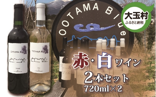 【数量限定】ワイン　赤　白 飲み比べ　メルロ種　甲州種　720ml 各1本 計2本セット（ootama blue）【20003】