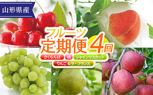 FYN9-952《先行予約》【定期便】 2024年 山形県産フルーツ定期便A 4回 （紅秀峰 あかつき シャインマスカット サンふじりんご&ラ・フランス） 2024年6月下旬から順次発送 さくらんぼ 桃 白桃 ぶどう 葡萄 りんご リンゴ 林檎 ラフランス 西洋梨 果物 フルーツ 食べ比べ ギフト 贈答 化粧箱 数量限定 期間限定 産地直送 山形県 西川町 月山