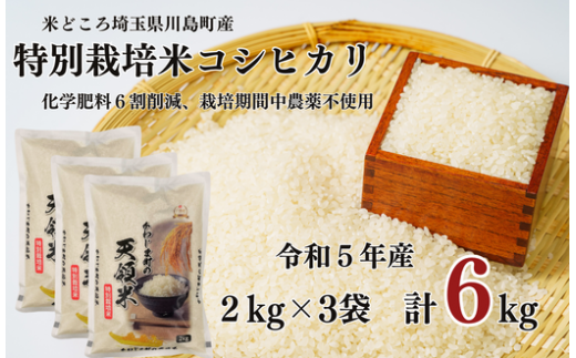 特別栽培米 コシヒカリ 白米 6kg （2kg×3袋）食味値80以上 栽培期間中農薬不使用 有機肥料 かわじま町の天領米 令和5年産 2023年産 小分け 米 コメ 安心 安全  減農薬 埼玉県認証 埼玉県 川島町