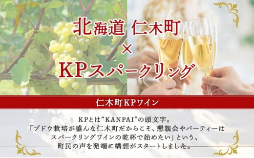 北海道産 スパークリング ワイン 750ml 2本 KPワイン Sテロワール ぶどう ナイアガラ 葡萄 ブドウ 白ワイン 辛口 酒 お酒 贈答 贈り物 お祝い ギフト 記念日 送料無料