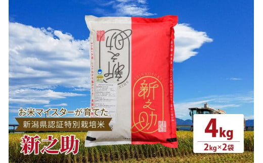 令和5年産お米マイスターが育てた新潟県認証特別栽培米「新之助」上越頸城産 4kg(2kg×2) 精米 お米 上越