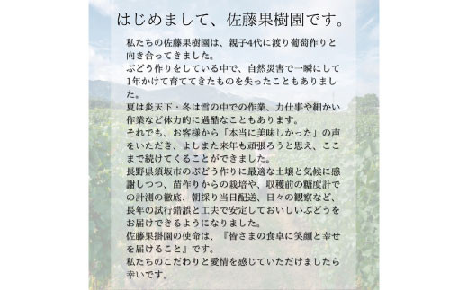 [No.5657-4027]シャインマスカットとクイーンルージュ® 粒 約2kg (約500g×4パック) 《佐藤果樹園》■2025年発送■※9月中旬頃～10月下旬頃まで順次発送予定