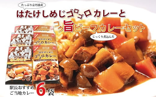 具がたっぷりの手作り特製はたけしめじカレーとビーフカレーセット。