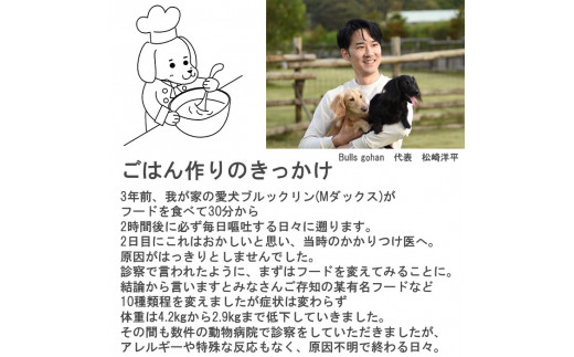 GC001_国産・保存料無添加のドッグフード・おダシ香る鶏ごはん【お試しセット】