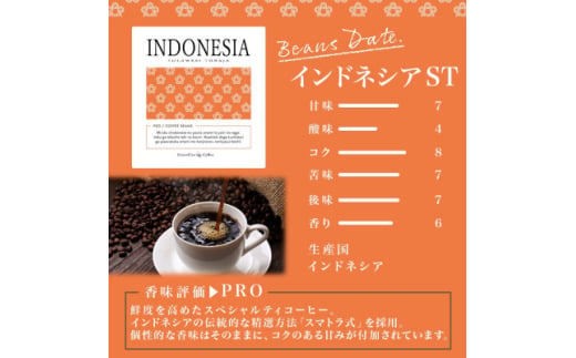 熨斗 コーヒー豆 インドネシア 100g 2袋 鮮度を高めたスペシャルティコーヒー 北海道 帯広市【1555305】