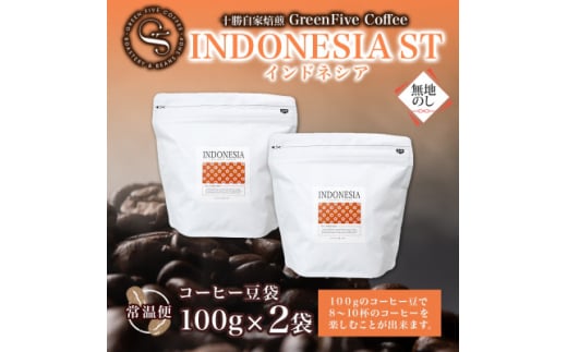 熨斗 コーヒー豆 インドネシア 100g 2袋 鮮度を高めたスペシャルティコーヒー 北海道 帯広市【1555305】