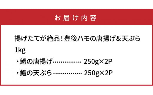 揚げたてが絶品！豊後ハモの唐揚げ＆天ぷら/1kg_0274N