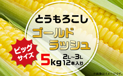 2401とうもろこし「ゴールドラッシュ」5kg（2L～3L　12本入り）