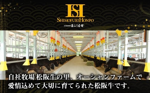 【12月末受付終了】松阪牛 特選サーロイン ステーキ 6ヶ月定期便【2025年4月～9月発送】 400g(約200g×2枚)×6ヶ月 国産牛 和牛 ブランド牛 JGAP家畜・畜産物 農場HACCP認証農場 牛肉 肉 高級 人気 おすすめ 神戸牛 近江牛 に並ぶ 日本三大和牛 松阪 松坂牛 松坂 サーロイン 2.4kg 定期便 ギフト箱入り ギフト 贈答 三重県 多気町 SS-2111