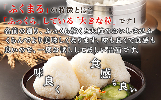 172【6ヶ月連続お届け】茨城町産ふくまる5kg 令和6年産