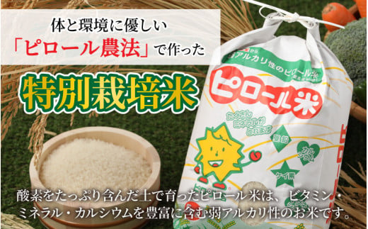 【令和6年産 新米】こだわりの米！弱アルカリ性のピロール米 こしひかり 無洗米 5kg [A-009003]