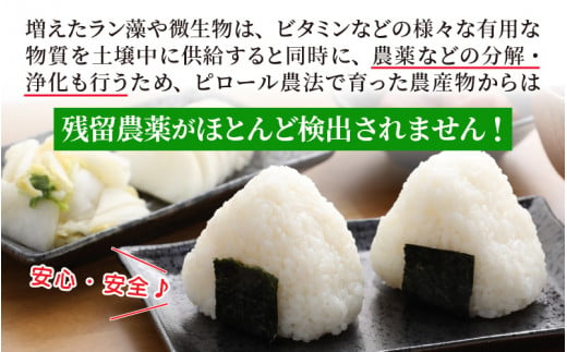 【令和6年産 新米】こだわりの米！弱アルカリ性のピロール米 こしひかり 無洗米 5kg [A-009003]