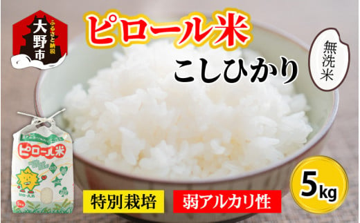 【令和6年産 新米】こだわりの米！弱アルカリ性のピロール米 こしひかり 無洗米 5kg [A-009003]