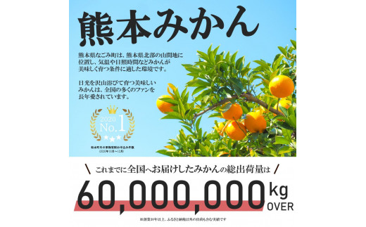  < 先行予約 > くまもと柑橘みかんの定期便 10kg【 3回定期便 】9月末より発送開始 | みかん ミカン 極早生 早生 太陽の雫 太陽のしずく 温州 柑橘 柑橘類 フルーツ 果物 家庭用 熊本 和水