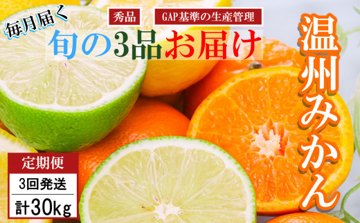  < 先行予約 > くまもと柑橘みかんの定期便 10kg【 3回定期便 】9月末より発送開始 | みかん ミカン 極早生 早生 太陽の雫 太陽のしずく 温州 柑橘 柑橘類 フルーツ 果物 家庭用 熊本 和水