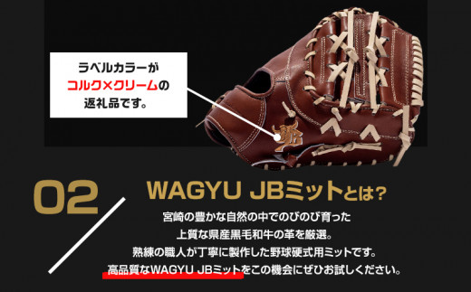 宮崎県産牛革使用 WAGYU JB 硬式用 ミット 一塁手用 JB-003(ブラウン/右投げ用)_M147-060