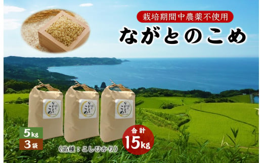 ながとのこめ こしひかり 玄米  5kg×3袋 合計15kg コシヒカリ 長門市 令和6年度産