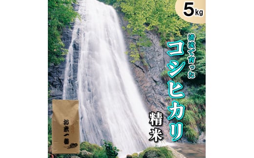 多可町加美区の清流で育ったコシヒカリ【精米】５kg[830] 