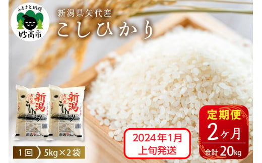 【2025年1月上旬発送】【定期便】令和6年産 新潟県矢代産コシヒカリ10kg(5kg×2袋)×2回（計20kg）