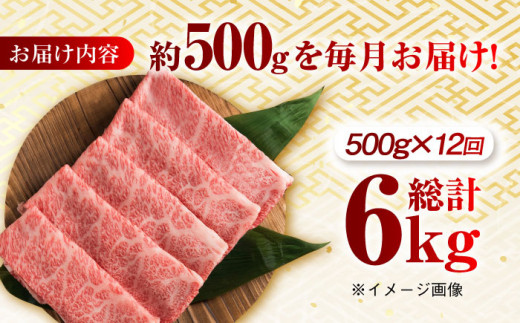 【月1回約500g×12回定期便】長崎和牛 ローススライス すき焼き・しゃぶしゃぶ用 計6kg 長崎県/長崎県農協直販 [42ZZAA174]  肉 牛 和牛 ロース スライス すき焼き しゃぶしゃぶ 西海市 長崎 九州 定期便