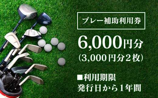 千代田ゴルフ倶楽部　ゴルフ場優待プレー補助利用券 6,000円分