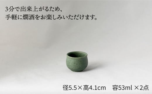 【美濃焼】＜お好みの温度でお酒を楽しむ＞酒燗器 盃2個セット ミドリ【山淳製陶所】【TOKI MINOYAKI返礼品】 食器 徳利 お猪口 冷酒 熱燗 [MAP004]