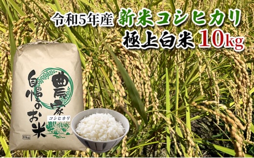 【農家直送/令和5年産新米】長野県産「コシヒカリ」（10kg）（炊飯食味値88点の極上白米） [№5659-1498]