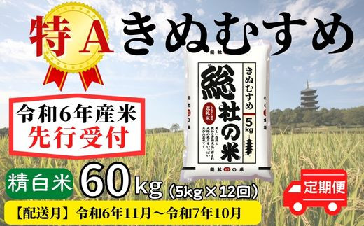 【令和6年産】特Aきぬむすめ【精白米】60kg 定期便（5kg×12回）岡山県総社市産米〔令和6年11月から令和7年10月まで毎月配送〕24-084-002