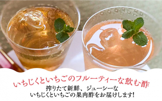 【全3回定期便】＜いちじく美人・いちご美人＞ 飲む酢 2本 セット《豊前市》【株式会社ワカヤマ】地産 福岡 万能 調味料 酢 [VBW020]