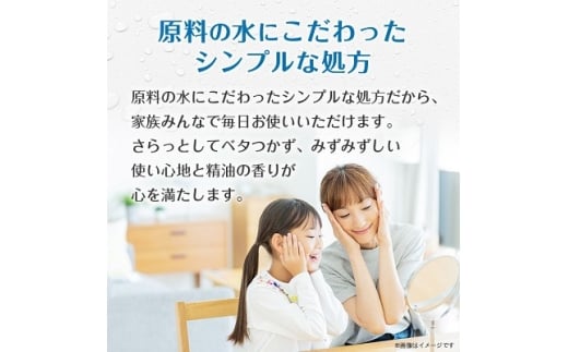 龍泉洞の化粧水 300ml×1本【1681460】