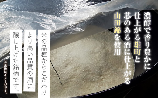 紀州の地酒 純米吟醸｢紀伊国屋文左衛門｣ 16度 720ml×2本 エバグリーン 中野BC株式会社 《30日以内に出荷予定(土日祝除く)》和歌山県 日高町 酒 お酒 地酒