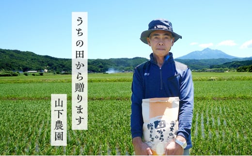 米 令和6年産 はれわたり 白米 20kg（10kg×2袋) 精米 こめ お米 おこめ コメ ご飯 ごはん 特A 特A米 令和6年 山下農園 青森 青森県