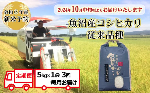 N30P144 【令和6年産 新米予約 定期便】昔ながらの魚沼産コシヒカリ5kg×3回（3ヶ月連続お届け）【従来品種】農園ビギン 早期受付 2024年10月中旬から発送開始