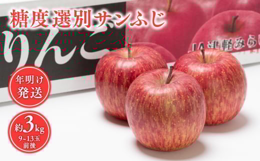 山形市産 富士りんご 無袋 徳用 5kg(20玉～23玉) FZ23-037