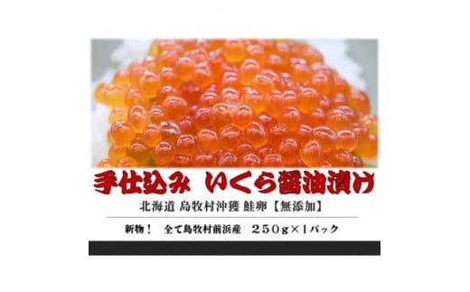 『手仕込』 いくら醤油漬け 沖獲れ鮭卵 250g×1パック＜北海道 島牧村産＞【1451281】