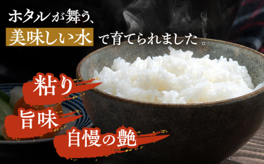 【令和5年産】【全6回定期便】特A 対馬産 にこまる 5kg×2「ほたる舞う三根川の米」 《対馬市》【永留しいたけ農園】 米 お米 ご飯 ごはん 白米 10kg 10キロ 産地直送 ランキング 送料無料 贈答用 特A 定期便 [WAJ010]