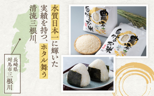 【令和5年産】【全6回定期便】特A 対馬産 にこまる 5kg×2「ほたる舞う三根川の米」 《対馬市》【永留しいたけ農園】 米 お米 ご飯 ごはん 白米 10kg 10キロ 産地直送 ランキング 送料無料 贈答用 特A 定期便 [WAJ010]