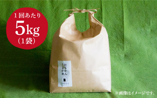 【全2回定期便】【令和6年度産】おぢかんうまか米（小値賀町産こしひかり 5kg ・精白米） [DAB038] コシヒカリ こしひかり 米 お米 白米 ご飯 精米 お弁当  常温