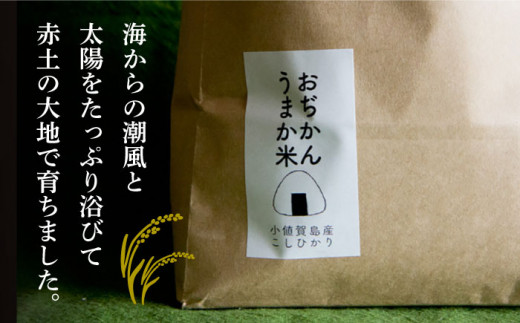 【全2回定期便】【令和6年度産】おぢかんうまか米（小値賀町産こしひかり 5kg ・精白米） [DAB038] コシヒカリ こしひかり 米 お米 白米 ご飯 精米 お弁当  常温