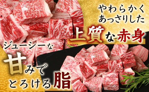 【9月配送】佐賀牛 赤身 角切り コロコロステーキ 500g サイコロステーキ 佐賀県産 もも モモブロック C-103