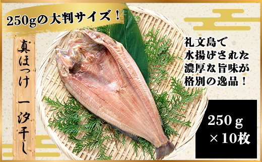 真ほっけ一汐干し 250g×10枚(gset-12) ふるさと納税 真ほっけ一汐干し ほっけ ホッケ 干物 開き 千葉県 大網白里市 AJ007