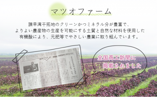 シソルージュ500ml ＆ シソルージュジンジャー500ml 紫蘇 しそ シソ 赤しそ しそジュース