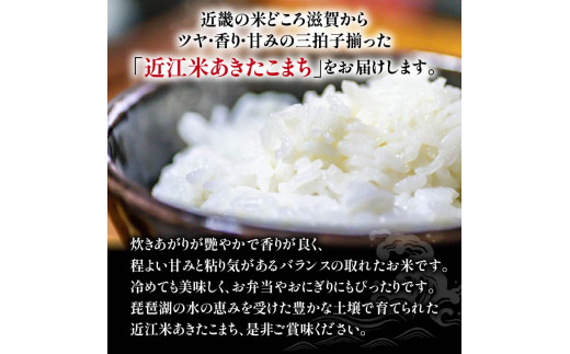 令和6年産 新米 定期便 10kg 全12回 ミルキークイーン  + 4品種 食べ比べ ( こしひかり みずかがみ にじのきらめき あきたこまち ) 全5品種 白米 各 5㎏ × 2袋 12ヶ月 近江米  国産 お米 米 おこめ ごはん ご飯 白飯 しろめし こめ ゴハン 御飯 滋賀県産 竜王 ふるさと ランキング 人気 おすすめ