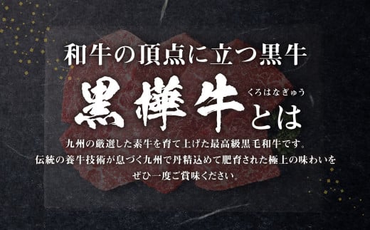 くまもと黒毛和牛 杉本本店 黒樺牛 A4~A5等級 モモステーキ 100g×6 計600g