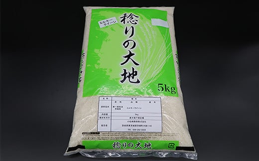 ミルキークイーン 精米 10kg 5kg × 2袋 茨城県産 小松崎商事 定期便 6ヶ月 連続お届け 442