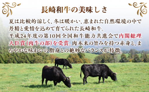 長崎和牛 焼肉用 ロース 約400g 牛肉 小分け 【肉の牛長】 [RCJ004]