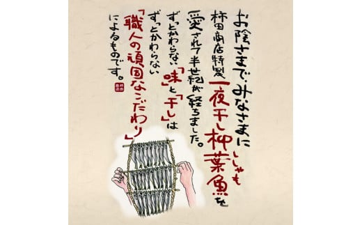 本場くしろ産 ししゃもオス・メス50尾入り！ 本ししゃも 魚 ししゃも 魚好きのオス プチプチたまごのメス 魚介 グルメ シシャモ 北海道産 国産 魚 魚介 海の幸 F4F-5539